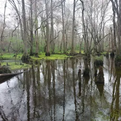 Black Creek Park - Hartsville