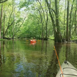 Black Creek Park - Hartsville
