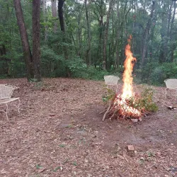 Black Creek Park - Hartsville