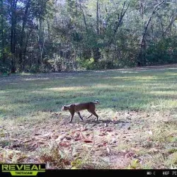 Black Creek Park - Hartsville
