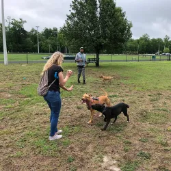 Hartsville City Park - Hartsville