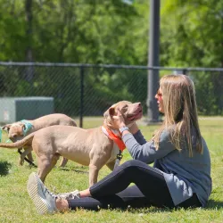 Hartsville City Park - Hartsville