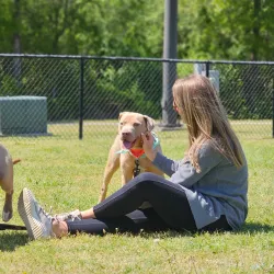 Hartsville City Park - Hartsville