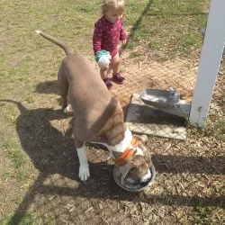 Hartsville City Park - Hartsville