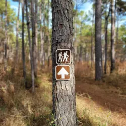 Palmetto Trail - Hartsville Section - Hartsville