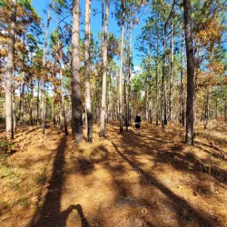 Palmetto Trail - Hartsville Section - Hartsville