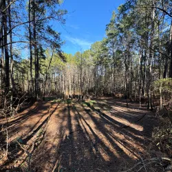 Palmetto Trail - Hartsville Section - Hartsville