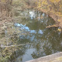 Palmetto Trail - Hartsville Section - Hartsville