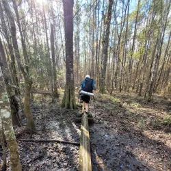 Palmetto Trail - Hartsville Section - Hartsville