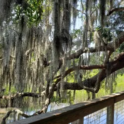 Coastal Discovery Museum - Hilton Head Island