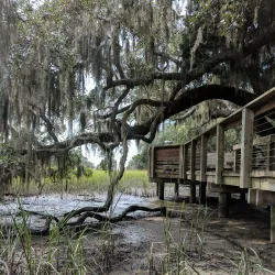 Coastal Discovery Museum - Hilton Head Island