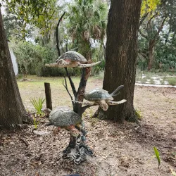 Coastal Discovery Museum - Hilton Head Island