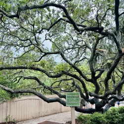 Coligny Beach Park - Hilton Head Island