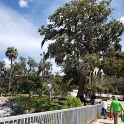 Daufuskie Island - Hilton Head Island