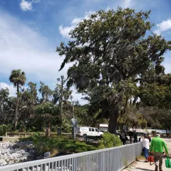 Daufuskie Island - Hilton Head Island