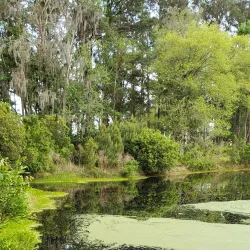 Daufuskie Island - Hilton Head Island