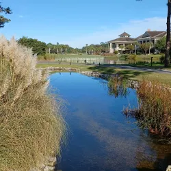 Hilton Head Island Golf Courses - Hilton Head Island