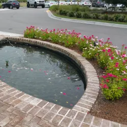 Hilton Head Island Golf Courses - Hilton Head Island