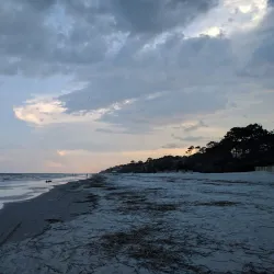 Hilton Head Island Golf Courses - Hilton Head Island