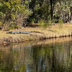 Hilton Head Island Golf Courses - Hilton Head Island