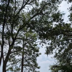 Mitchelville Freedom Park - Hilton Head Island