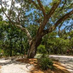 Mitchelville Freedom Park - Hilton Head Island