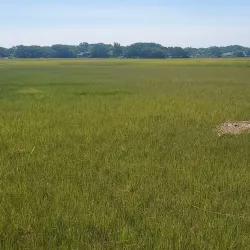 Mitchelville Freedom Park - Hilton Head Island