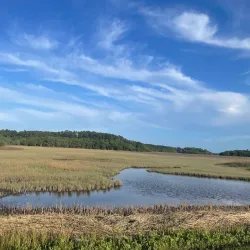 Pinckney Island National Wildlife Refuge - Hilton Head Island