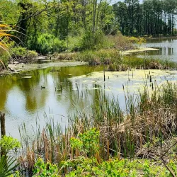 Pinckney Island National Wildlife Refuge - Hilton Head Island