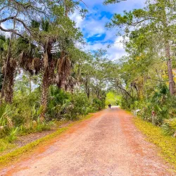 Pinckney Island National Wildlife Refuge - Hilton Head Island