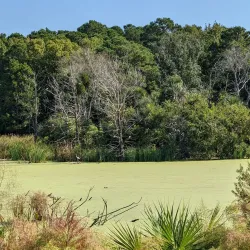 Pinckney Island National Wildlife Refuge - Hilton Head Island