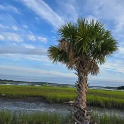 Pinckney Island National Wildlife Refuge - Hilton Head Island