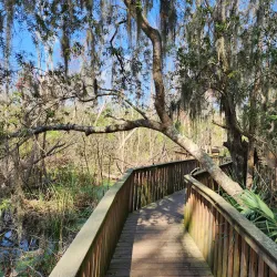 Sea Pines Forest Preserve - Hilton Head Island