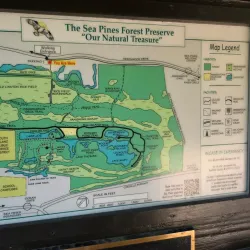 Sea Pines Forest Preserve - Hilton Head Island