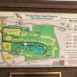 Sea Pines Forest Preserve - Hilton Head Island