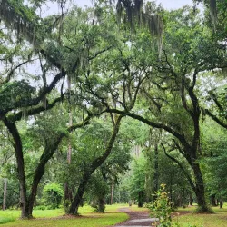 Sea Pines Forest Preserve - Hilton Head Island