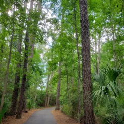Sea Pines Forest Preserve - Hilton Head Island