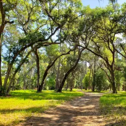 Sea Pines Forest Preserve - Hilton Head Island