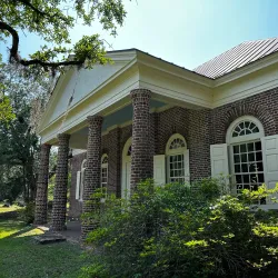 Francis Marion National Forest (nearby) - Moncks Corner