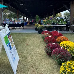 Moncks Corner Farmers Market - Moncks Corner