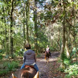 Mullet Hall Equestrian Center - Moncks Corner