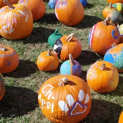 Mullet Hall Equestrian Center - Moncks Corner