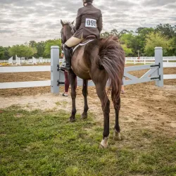 Mullet Hall Equestrian Center - Moncks Corner