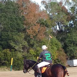 Mullet Hall Equestrian Center - Moncks Corner