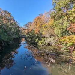Old Santee Canal Park - Moncks Corner