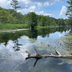 Old Santee Canal Park - Moncks Corner