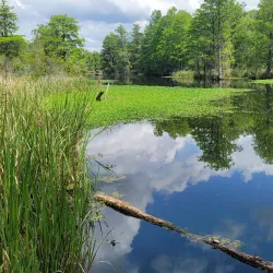 Old Santee Canal Park - Moncks Corner