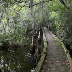 Old Santee Canal Park - Moncks Corner