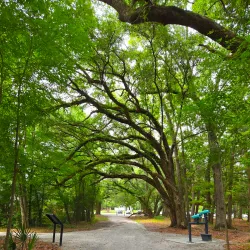 Old Santee Canal Park - Moncks Corner