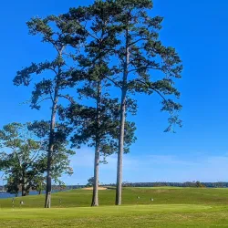 Santee Cooper Country Club - Moncks Corner